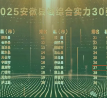 2025安徽县域综合实力30强发布！利辛上榜