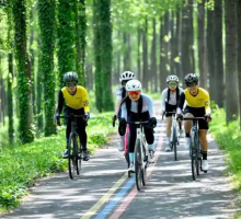 利辛：“颜值”变“产值” 催热乡村游