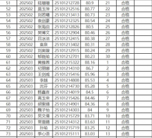2025年利辛县公开招聘城市社区专职工作者面试公告
