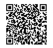 安徽关于2起整治形式主义为基层减负典型问题的情况通报