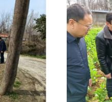 利辛县第四次全国文物普查新发现不可移动文物名录