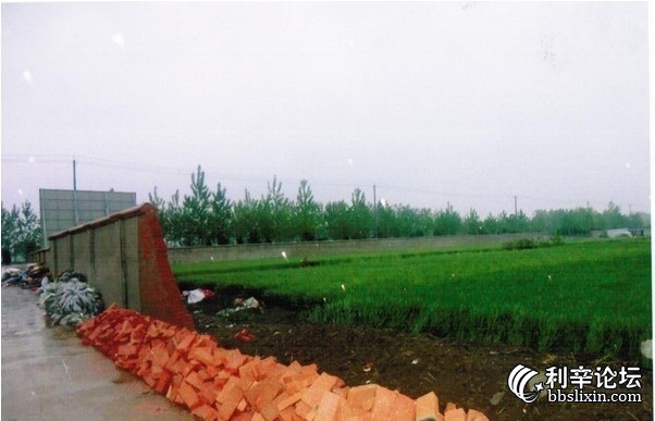 1054517iriig7xcgrrseti.jpg