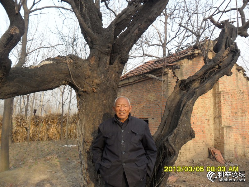 这颗树的主人80多岁的贾广俊讲 树上住里有神仙.jpg